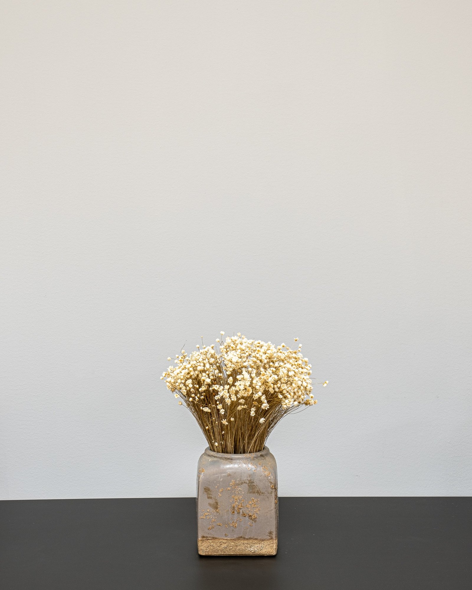 Marcela Naturell - Getrocknete Blumen 1 Marcela Naturell - Getrocknete Blumen