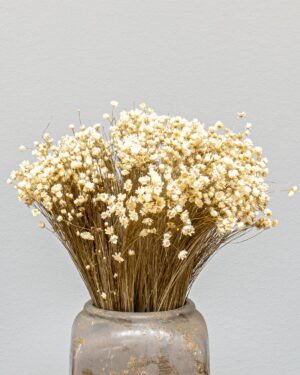Alternative view of Marcela Naturell - Getrocknete Blumen