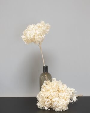 Hortensie Lang - Konservierte Blumen – Bild 5