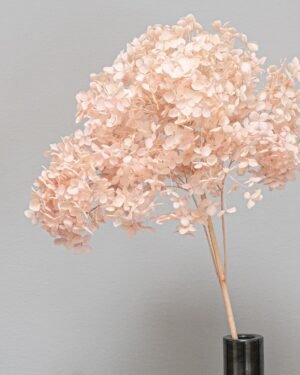 Hortensie Lang - Konservierte Blumen – Bild 2