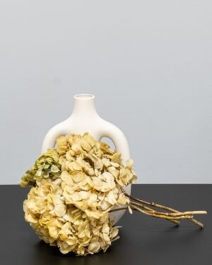 Hortensie Standard - Konservierte Blumen – Bild 7