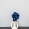 Blaue