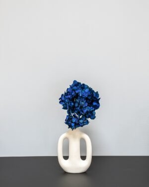 Hortensie Standard - Konservierte Blumen – Bild 8