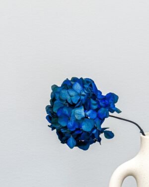 Hortensie Standard - Konservierte Blumen – Bild 10