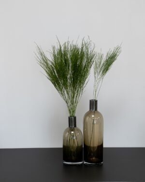 Tiki Farn - Konservierte Blumen – Bild 4