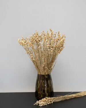 Briza - Getrocknete Blumen – Bild 3