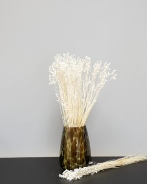 Briza - Getrocknete Blumen – Bild 7