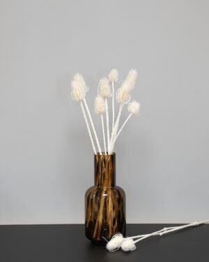 Kardonendistel - Getrocknete Blumen – Bild 5