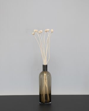 Craspedia/Sunball - Getrocknete Blumen – Bild 4