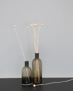Craspedia/Sunball - Getrocknete Blumen – Bild 6