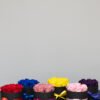 Ewige Rose Rose Box Rund 63 Evighetsros Rosbox