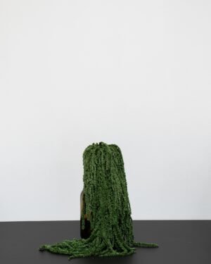 Amaranthus - Pflanzen in Dosen – Bild 6