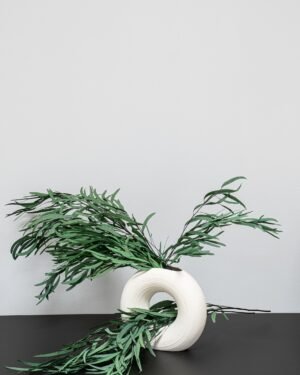 Eukalyptus Nicoli – Konservierte Pflanzen – Bild 6
