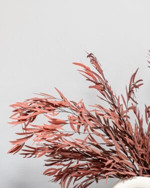 Eukalyptus Nicoli – Konservierte Pflanzen – Bild 8