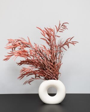 Eukalyptus Nicoli – Konservierte Pflanzen – Bild 7