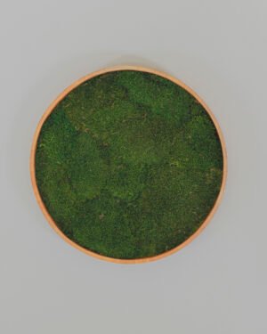Alternative view of Rundes Moosbild mit Flachmoos - Pflanzenwand