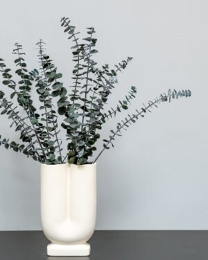Eukalyptus Baby Blue – Bild 3